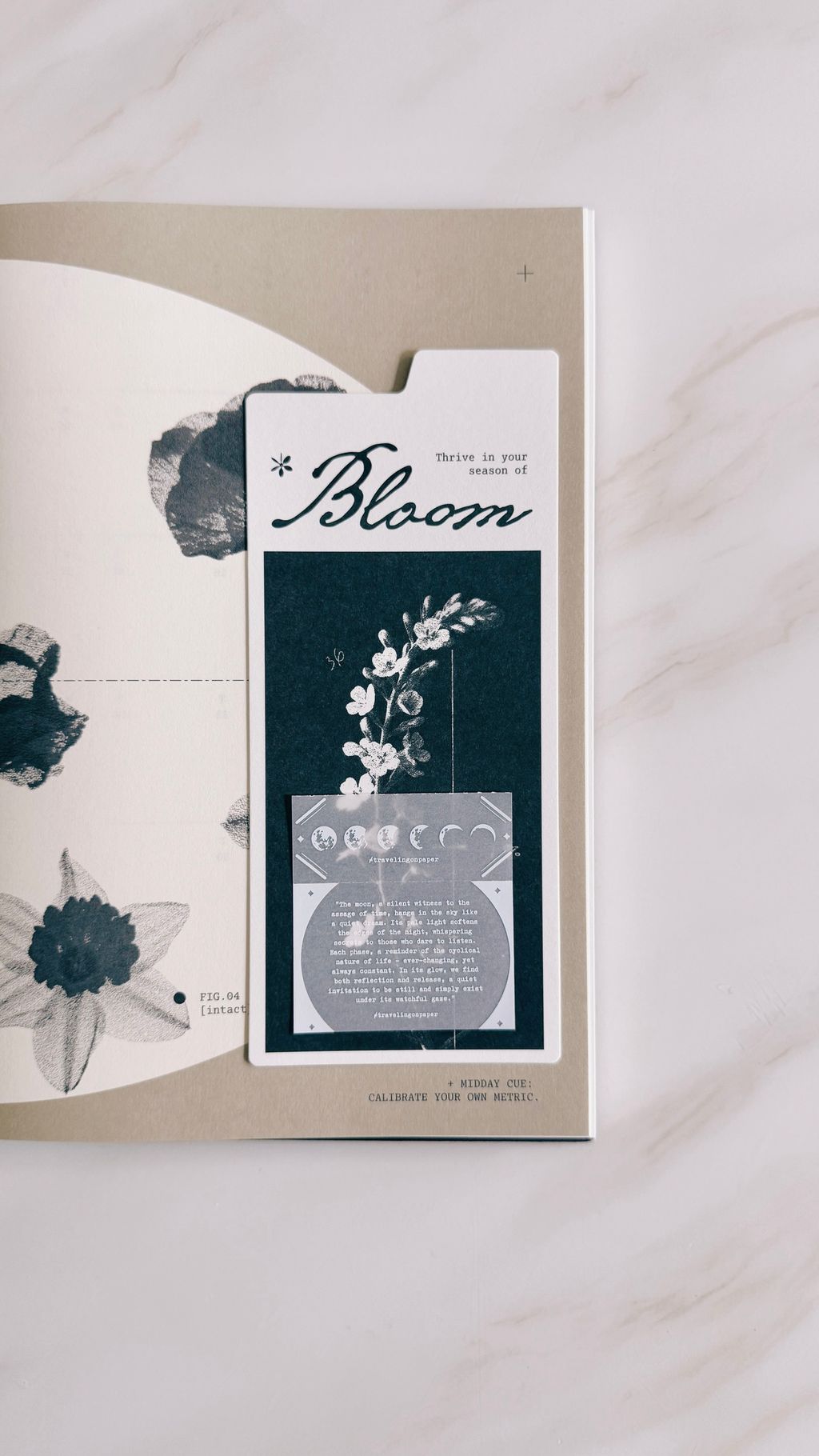 image_9FC845E2-4AA1-4881-9B77-F58A0D8ADFCA_1773886273