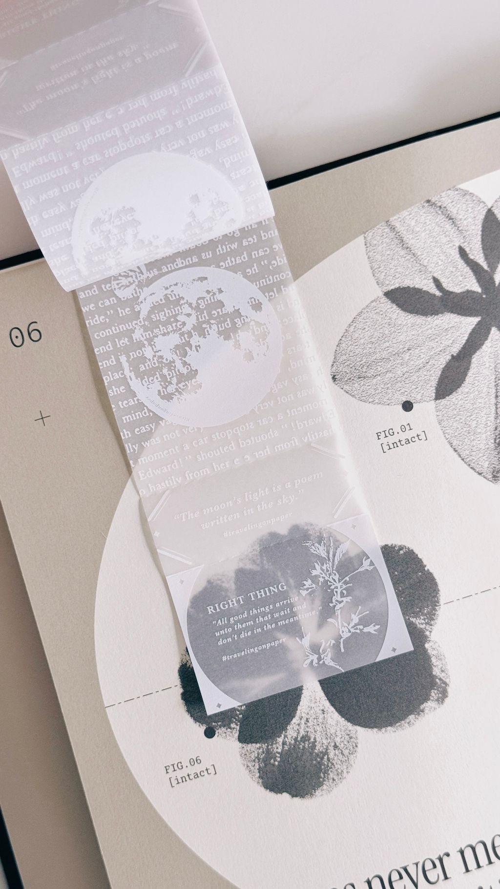 image_104240C2-EA97-43F8-AA07-375D3B32B6DD_1773886273