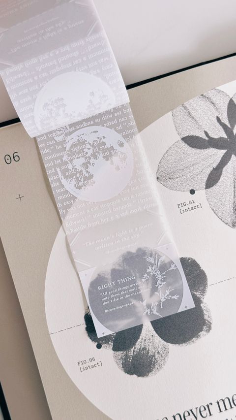 image_104240C2-EA97-43F8-AA07-375D3B32B6DD_1773886273