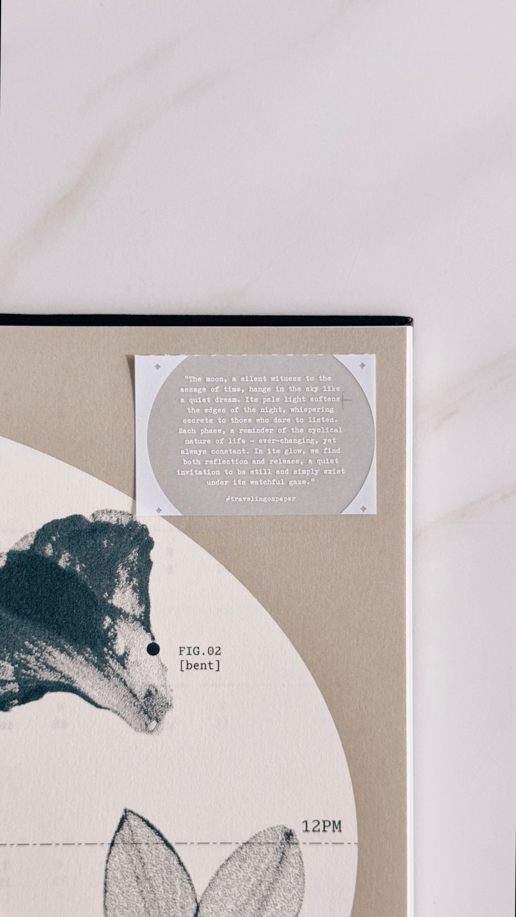 image_4AFA4380-8FE7-428F-8FEC-243F6553E900_1773886273