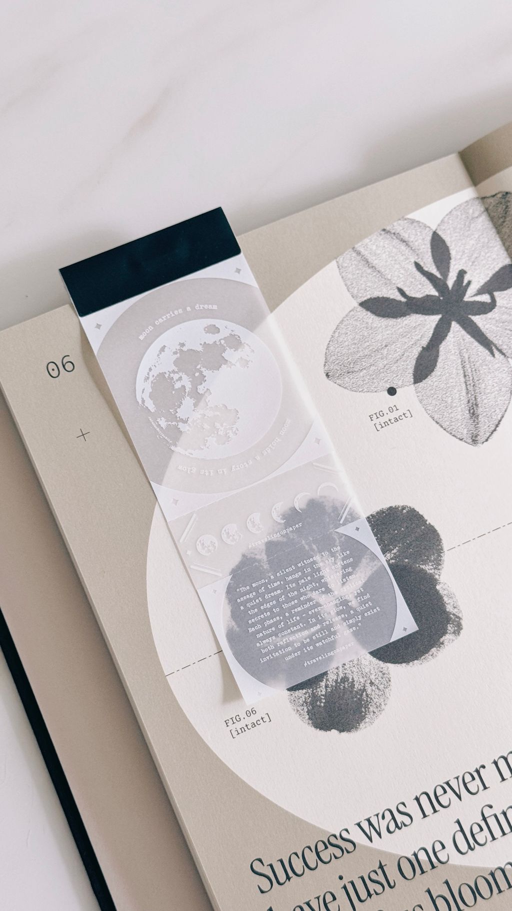 image_779D041F-46C8-49C3-BE47-EE88745811C8_1773886273