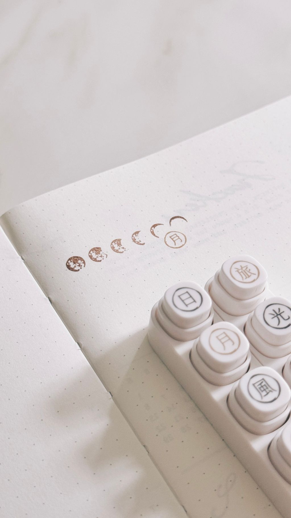 image_E09BCED5-C1C2-4320-9F3B-B758EC1B7A8F_1773886438