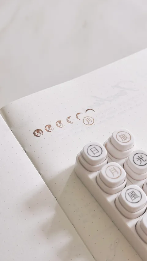 image_E09BCED5-C1C2-4320-9F3B-B758EC1B7A8F_1773886438