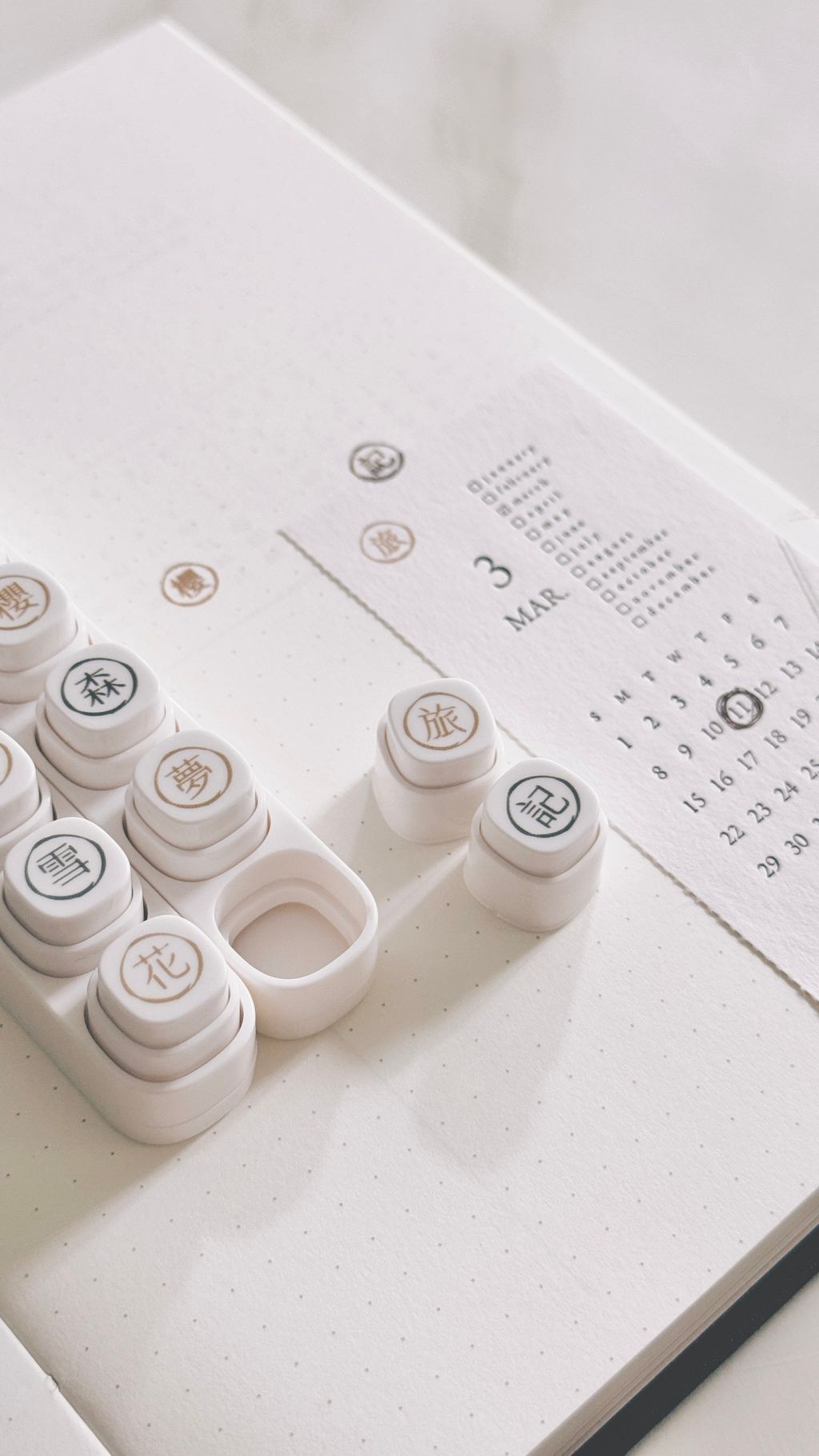 image_C7E5ED42-EF0A-4F38-9F31-3B0E27FB3230_1773886438