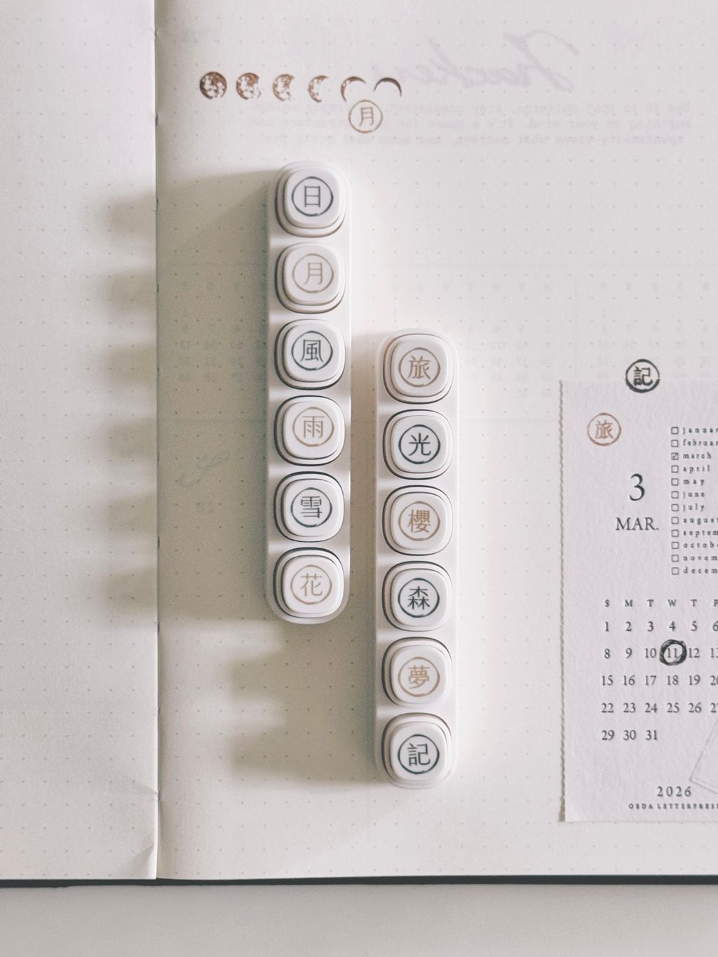 image_D8E0FD02-7B85-499F-B4F7-8534C0AB0473_1773886438