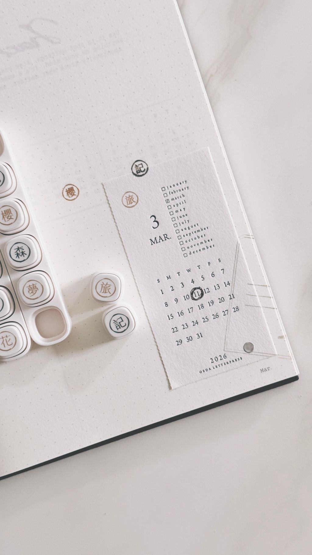 image_EA191BE3-A1A2-49F4-951D-3D816BB0F94C_1773886438