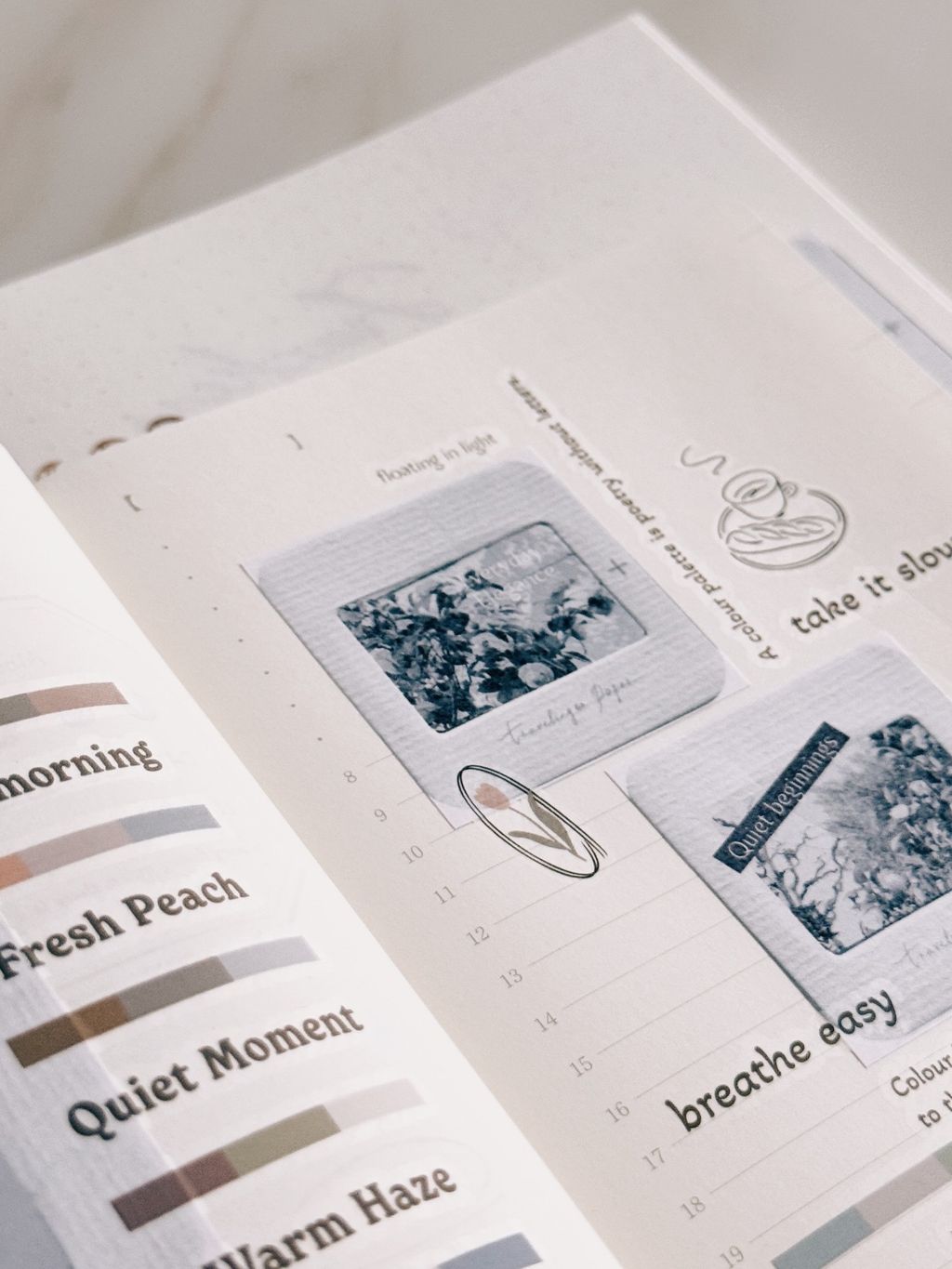 image_50E02538-EB5D-4CA2-8C6C-11196E61B389_1773987480