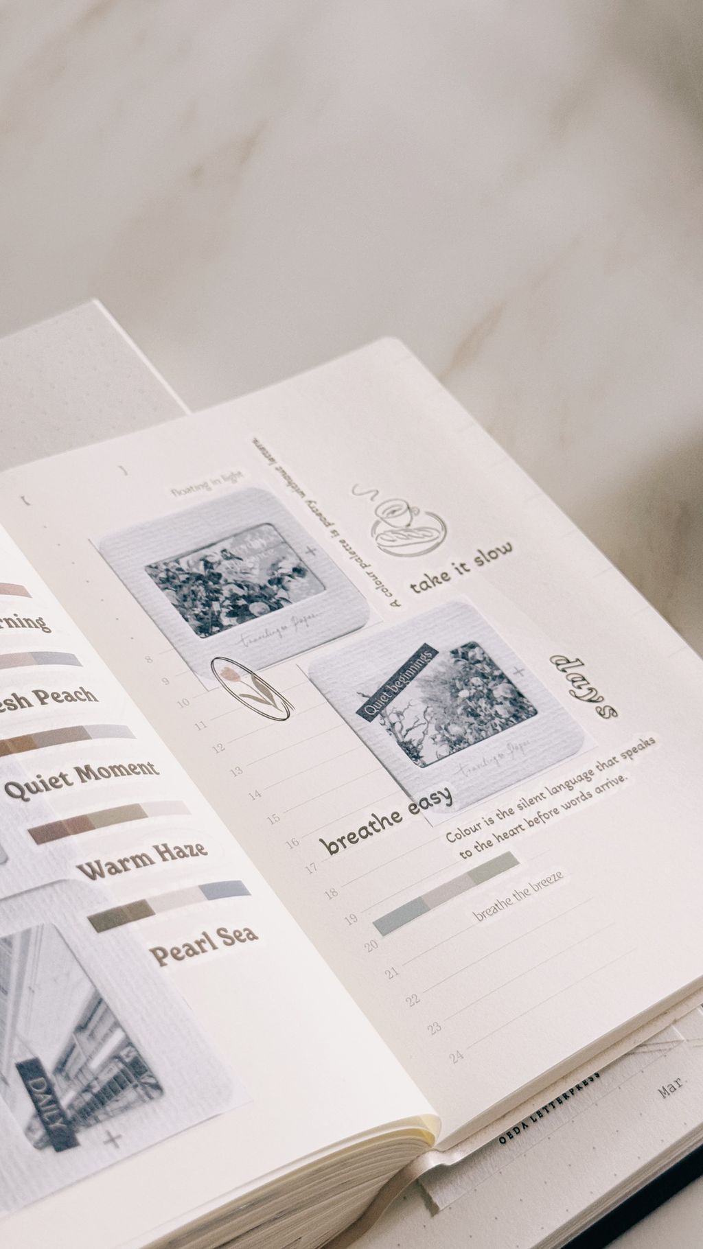 image_DADD7CE0-9519-4D28-B91E-11E38126C588_1773987480