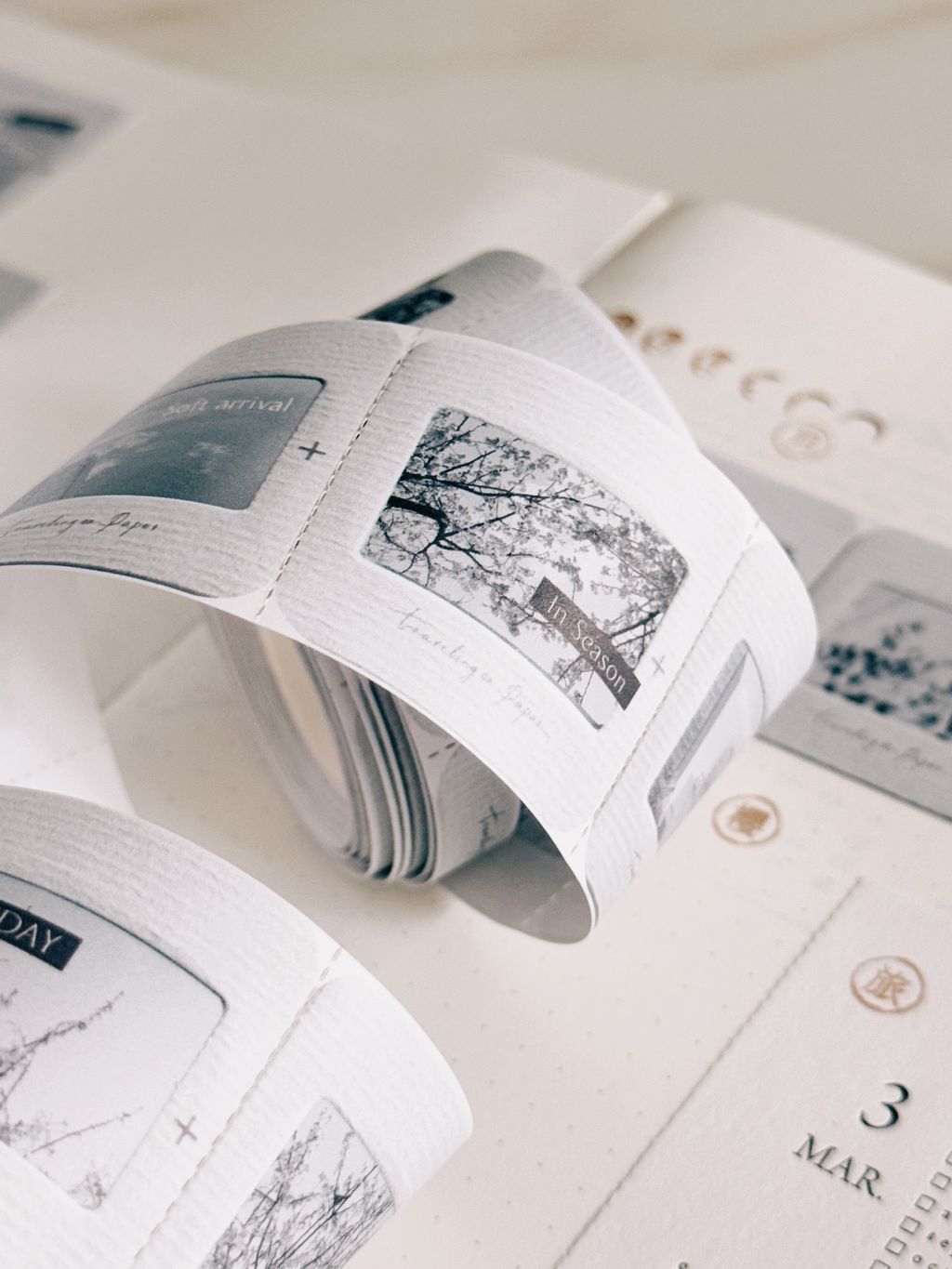 image_AD97CD2D-308A-4213-B0F6-37EA56705A2F_1773987480