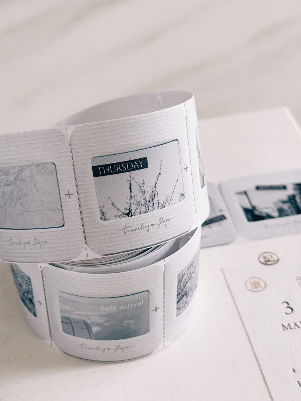 image_65CCA88A-31A8-43F7-95F8-CD82F5DE61DC_1773987480