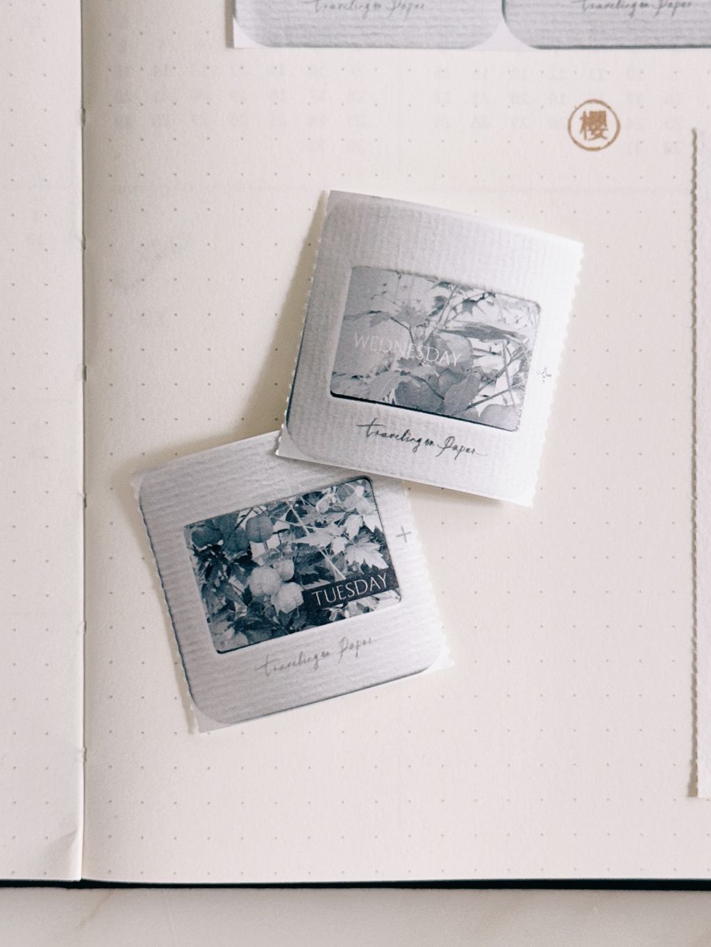 image_0D873D77-9058-4656-A933-2DEB72A5FC8B_1773987480