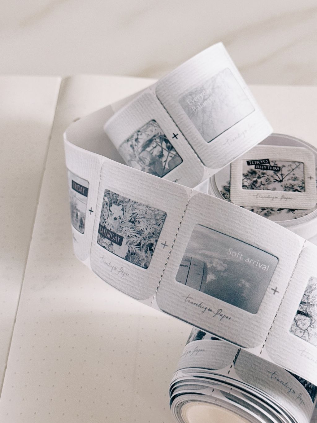 image_C0E840C7-CBD9-4838-8E60-761ED007117A_1773987480