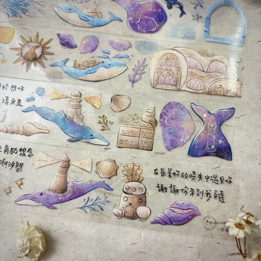 膠帶-海洋思念 (7)