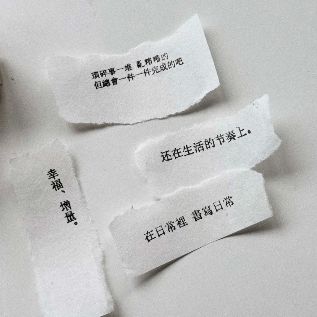 image_505BD03E-4348-4F15-8AFF-D45732C7FCD6_1768026472