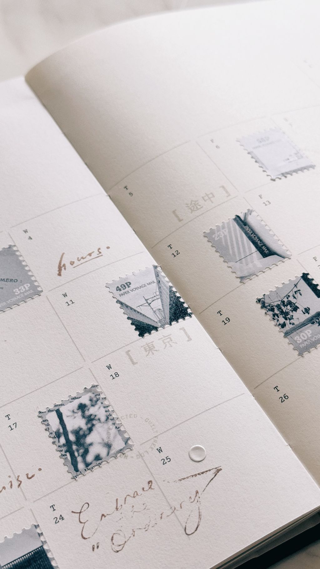 image_52C51367-8D2C-4C3E-9579-E6A6D94DB82E_1774950354