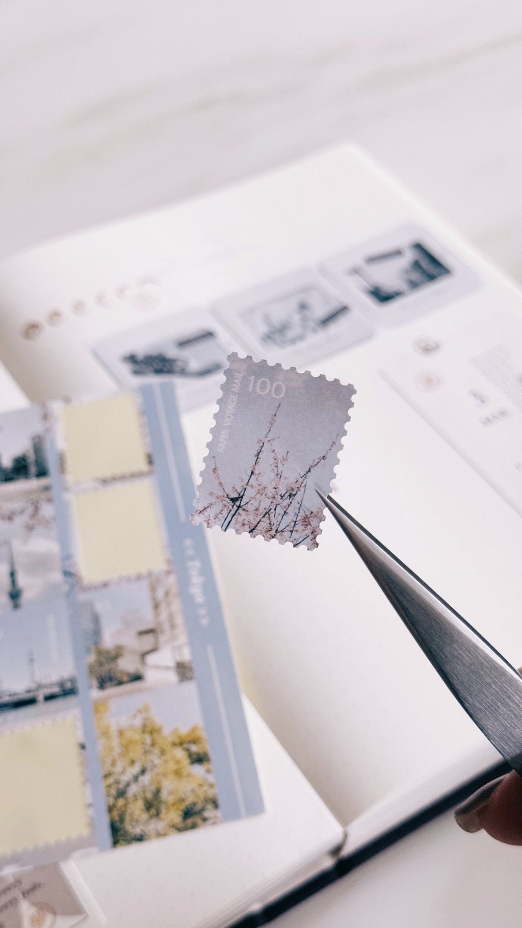 image_6B670AFE-03E0-481E-B7BB-4196D4705891_1775230807