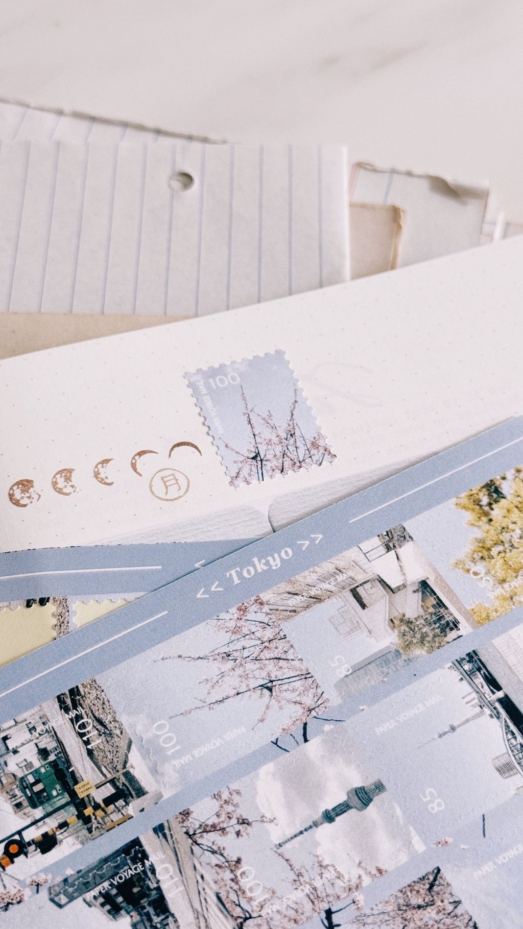 image_4F1DF21B-5CAB-4118-809F-8A6D0C34DDA9_1775230807