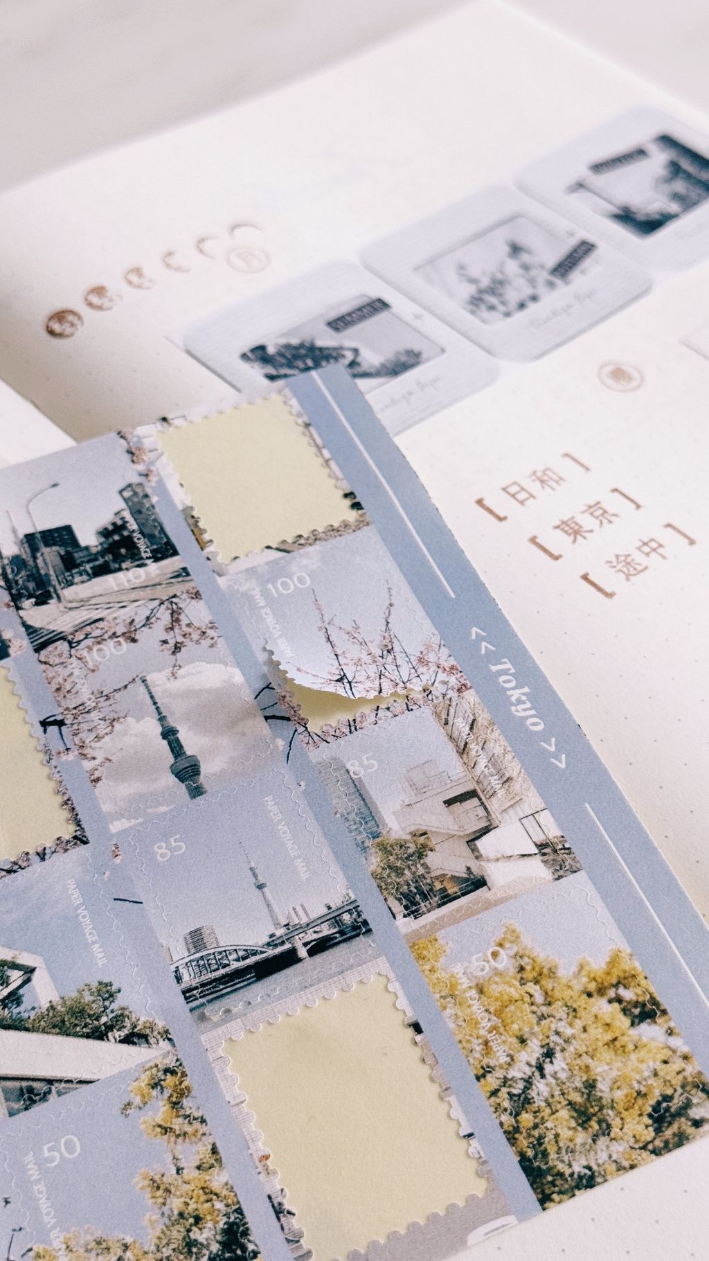 image_F3B88F17-1973-48A7-8205-7EEE6442A7F8_1775230807