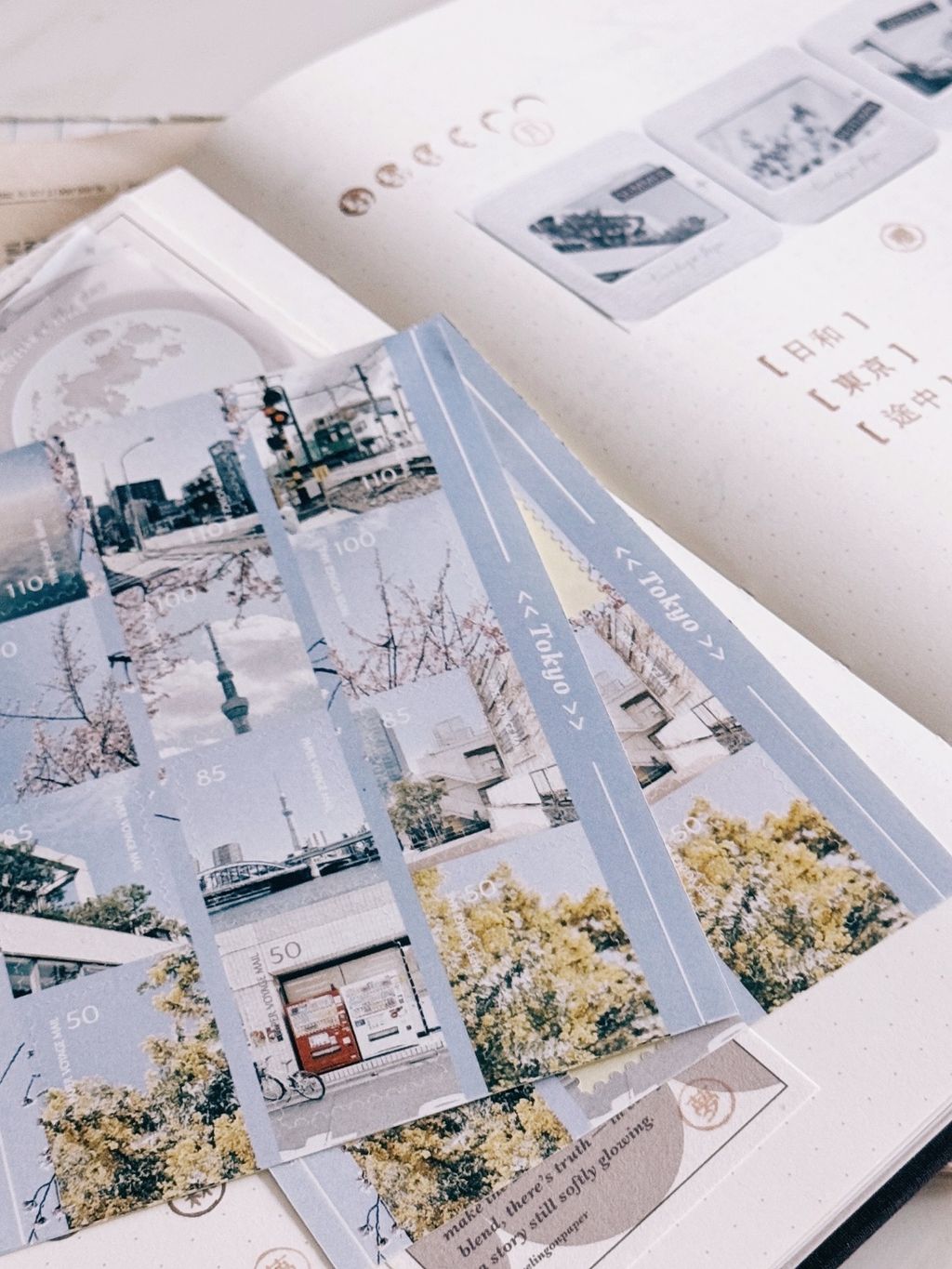 image_7F10A7B1-1E98-4950-875F-9A38A9CC8BF4_1775230808