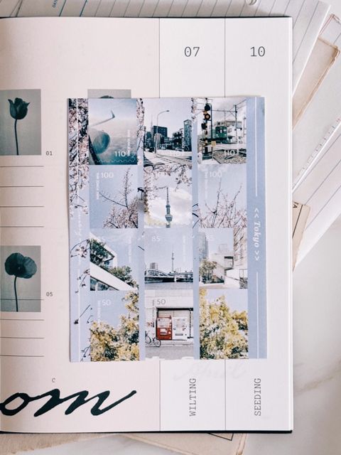 image_8F7ACC9C-1984-48C7-8865-408D5D7B702A_1775230809