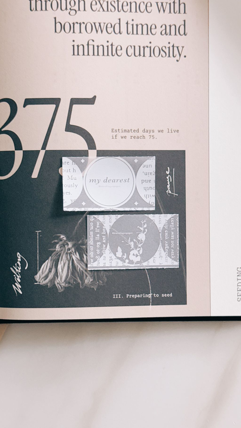 image_D2791A92-D015-4B3B-B47B-32A028695EF4_1775230917