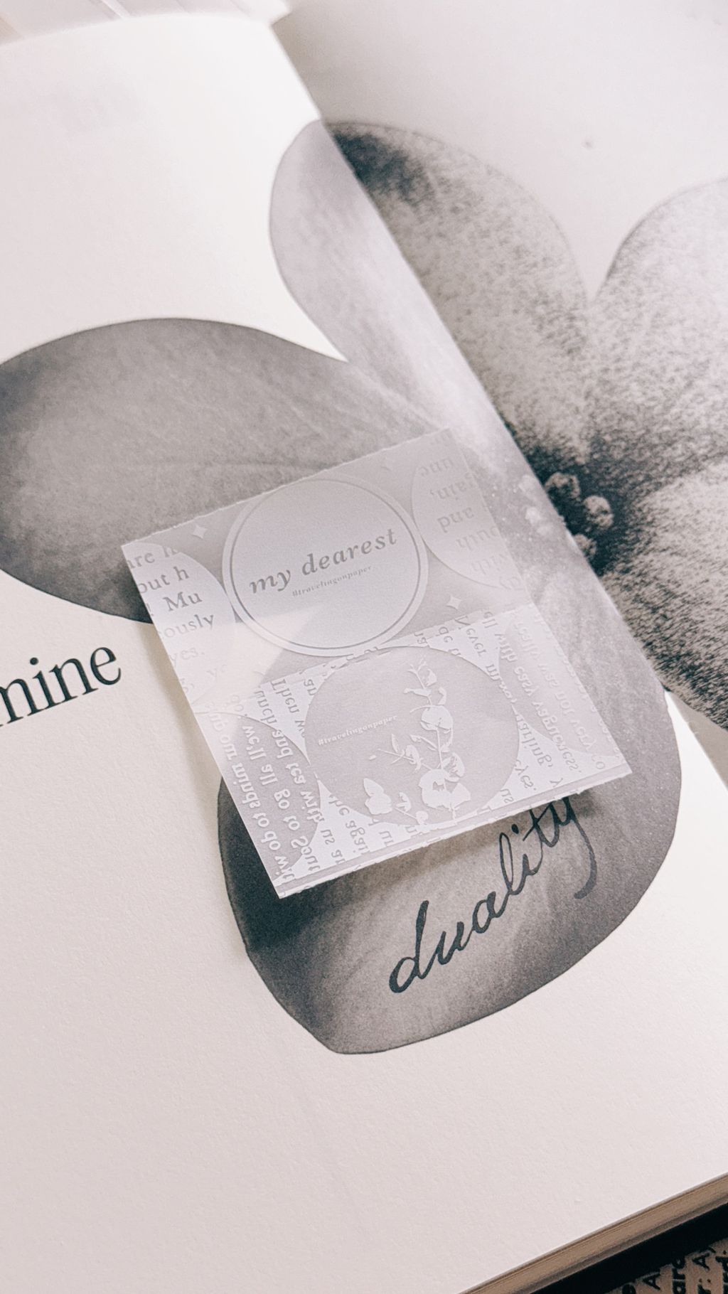 image_AB8FF4C8-83A0-47B6-A9E6-2F47E57890B5_1775230917