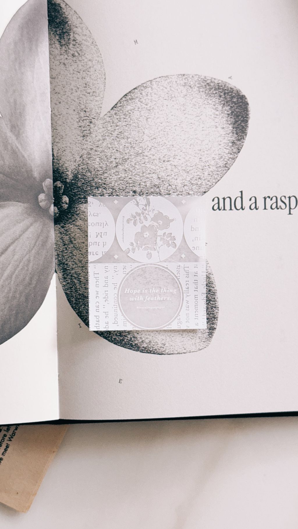 image_F9E0EB78-5BB1-44AD-AC51-1AE53898000F_1775230917