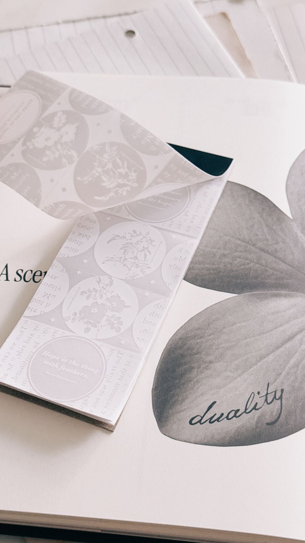 image_C9957139-30B1-471E-89D6-E2E9AEE0A1FC_1775230917