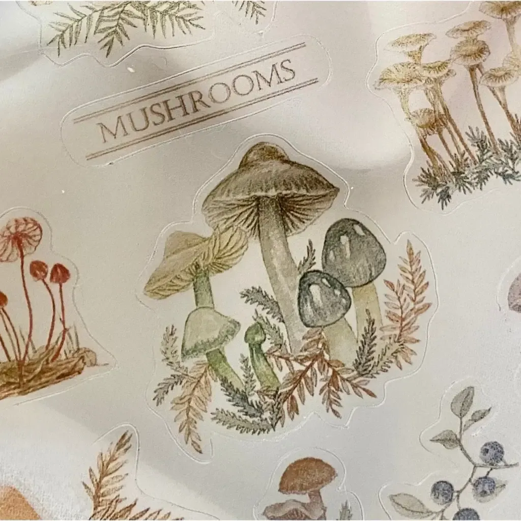 tw-11134207-7r990-lugebzsey6dn1e