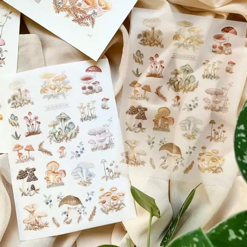 tw-11134207-7r98t-lugebzsezky301