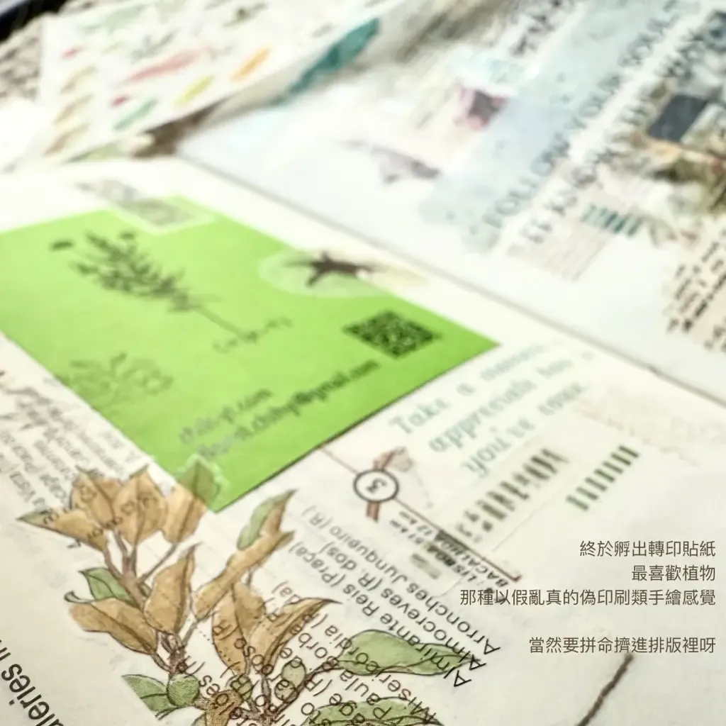 tw-11134207-81ztg-mhd4lbpznz0v00