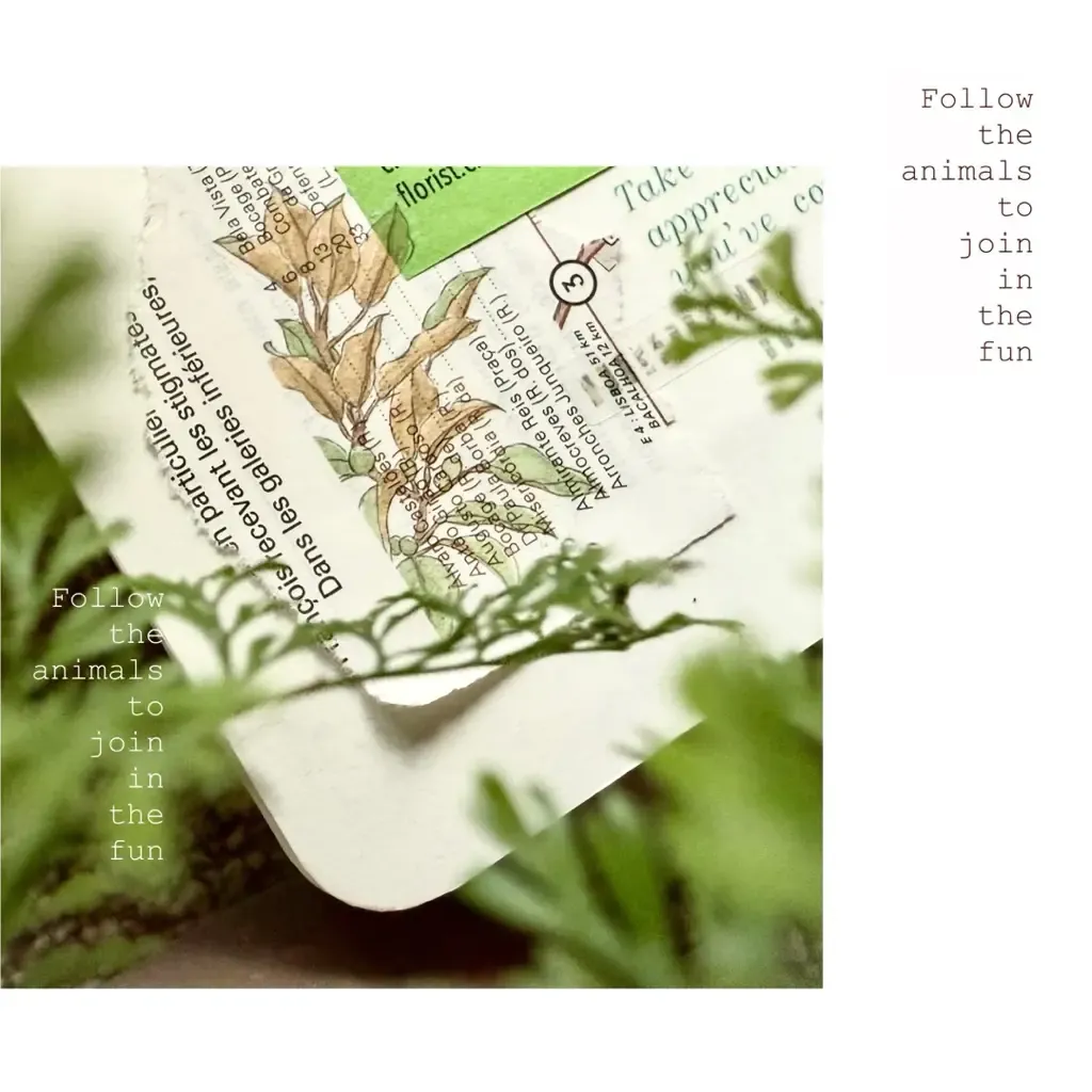 tw-11134207-81ztp-mhd4lbqm524re9