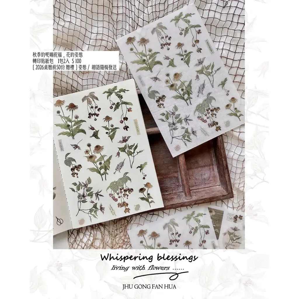 tw-11134207-81ztl-mhd48xln9wjzdb