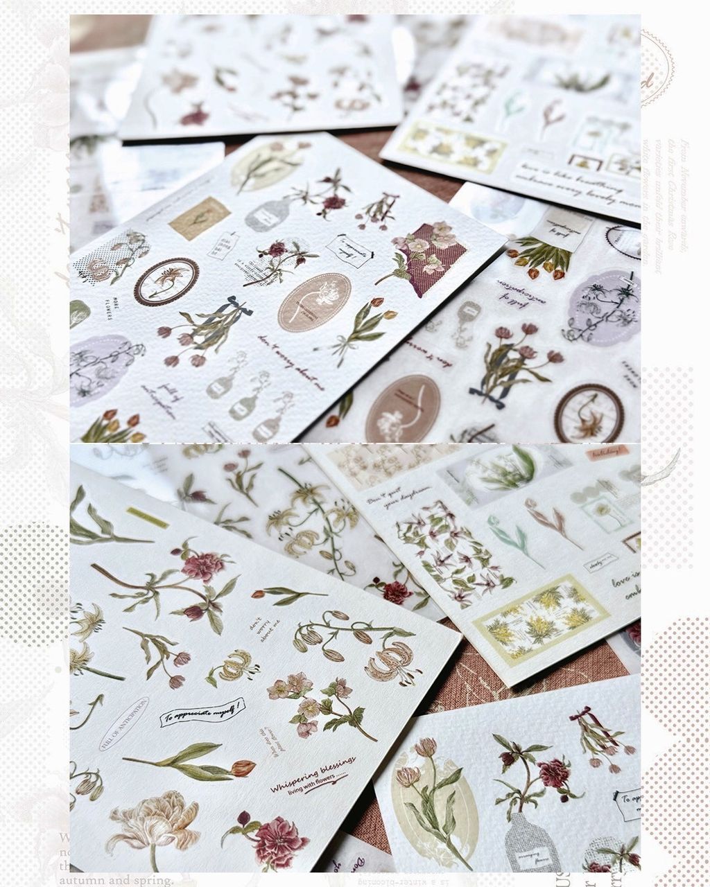 SaveClip.App_588694931_18106823497640780_7839629496655186531_n