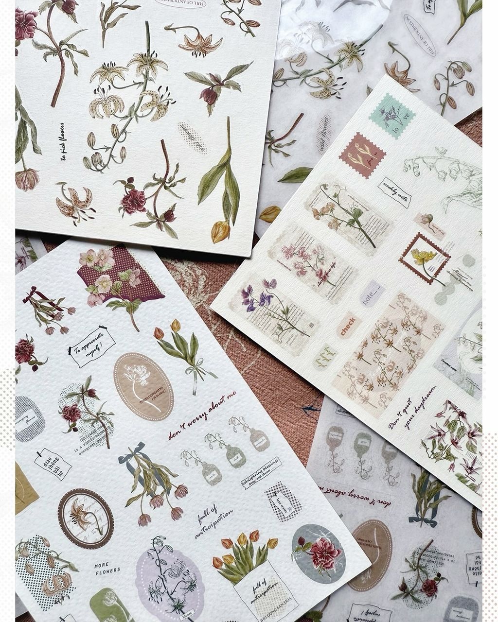 SaveClip.App_587274704_18106823452640780_696362707037178343_n