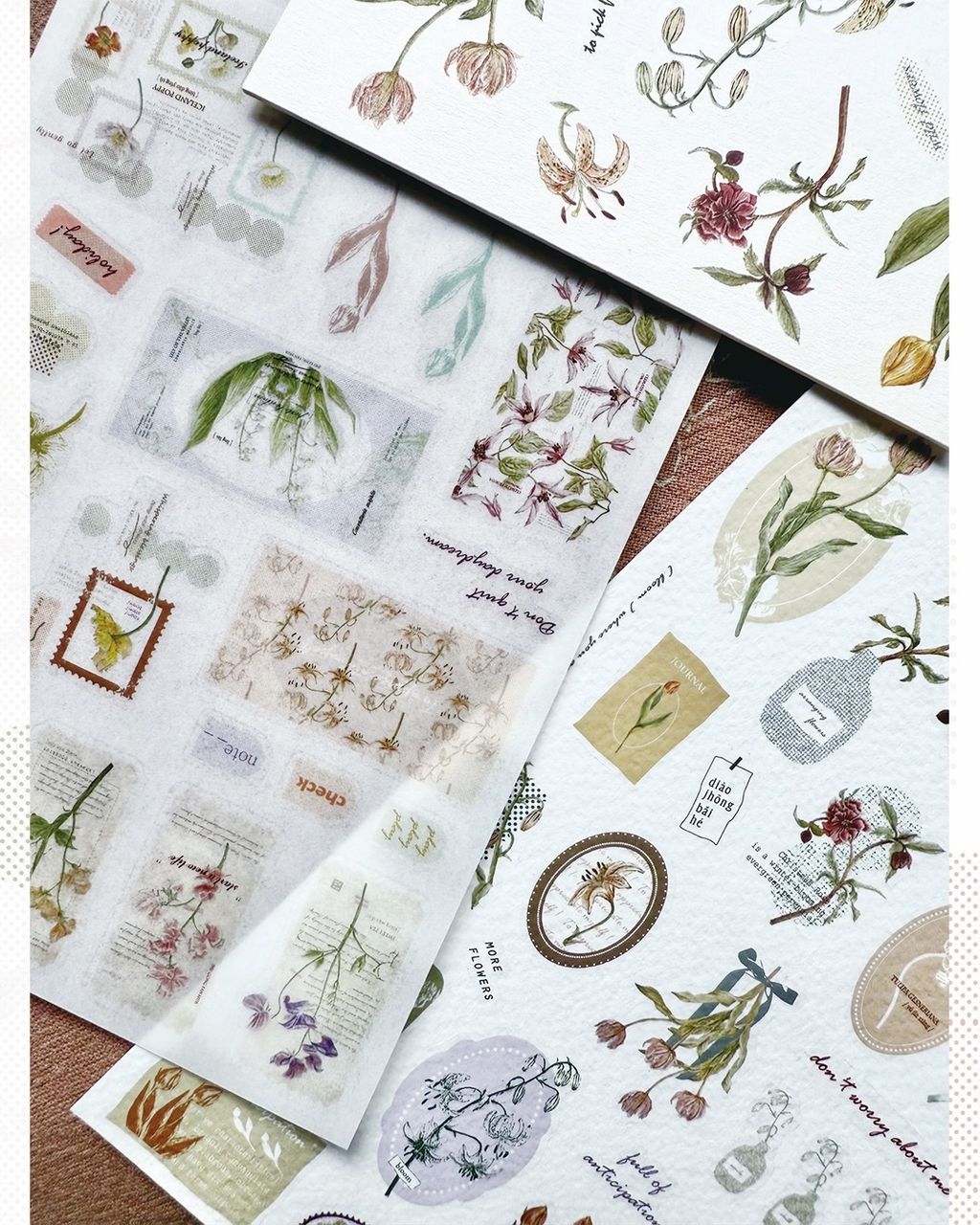 SaveClip.App_587288986_18106823470640780_3294093657227406559_n