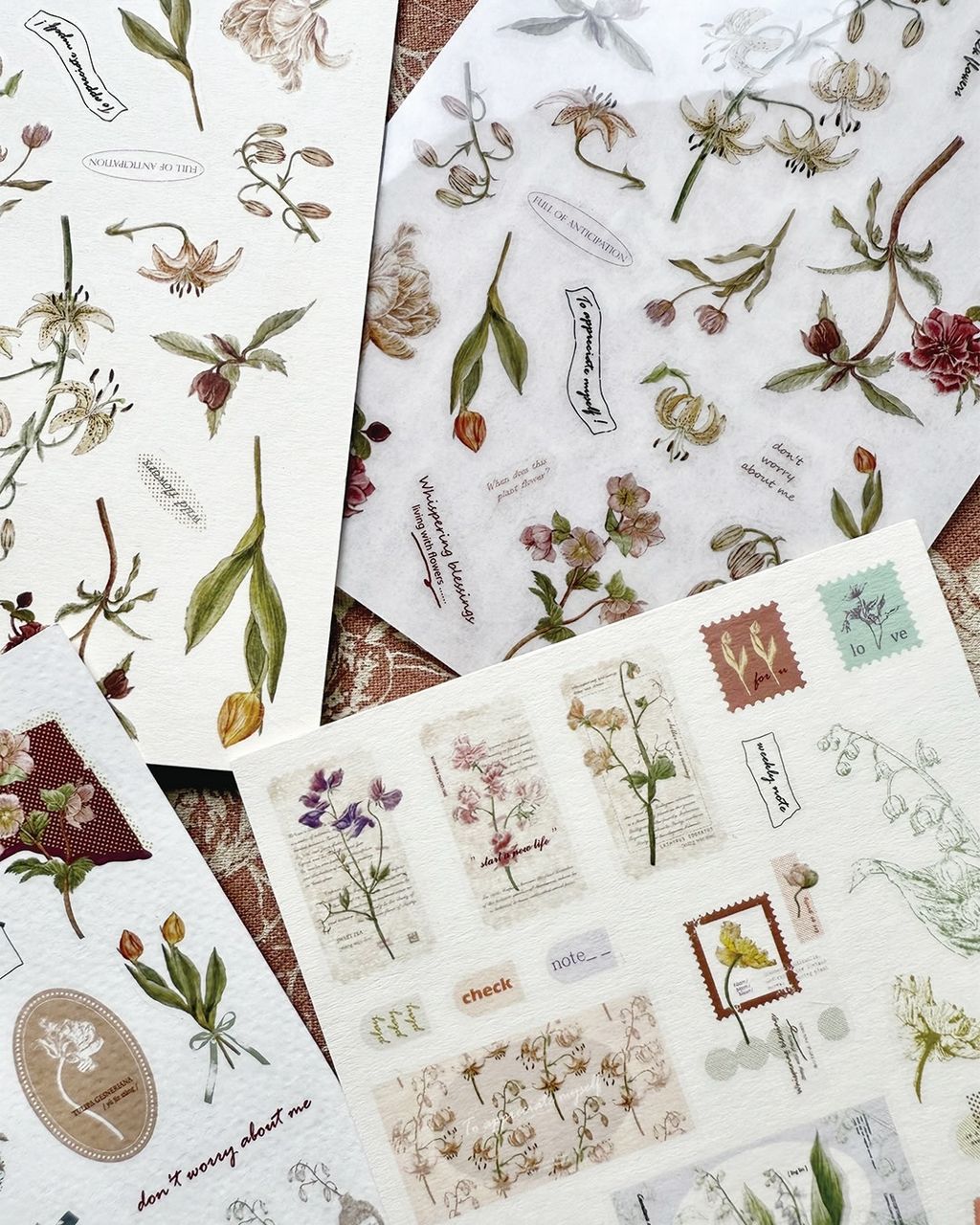 SaveClip.App_587297625_18106823479640780_6891232639933833978_n