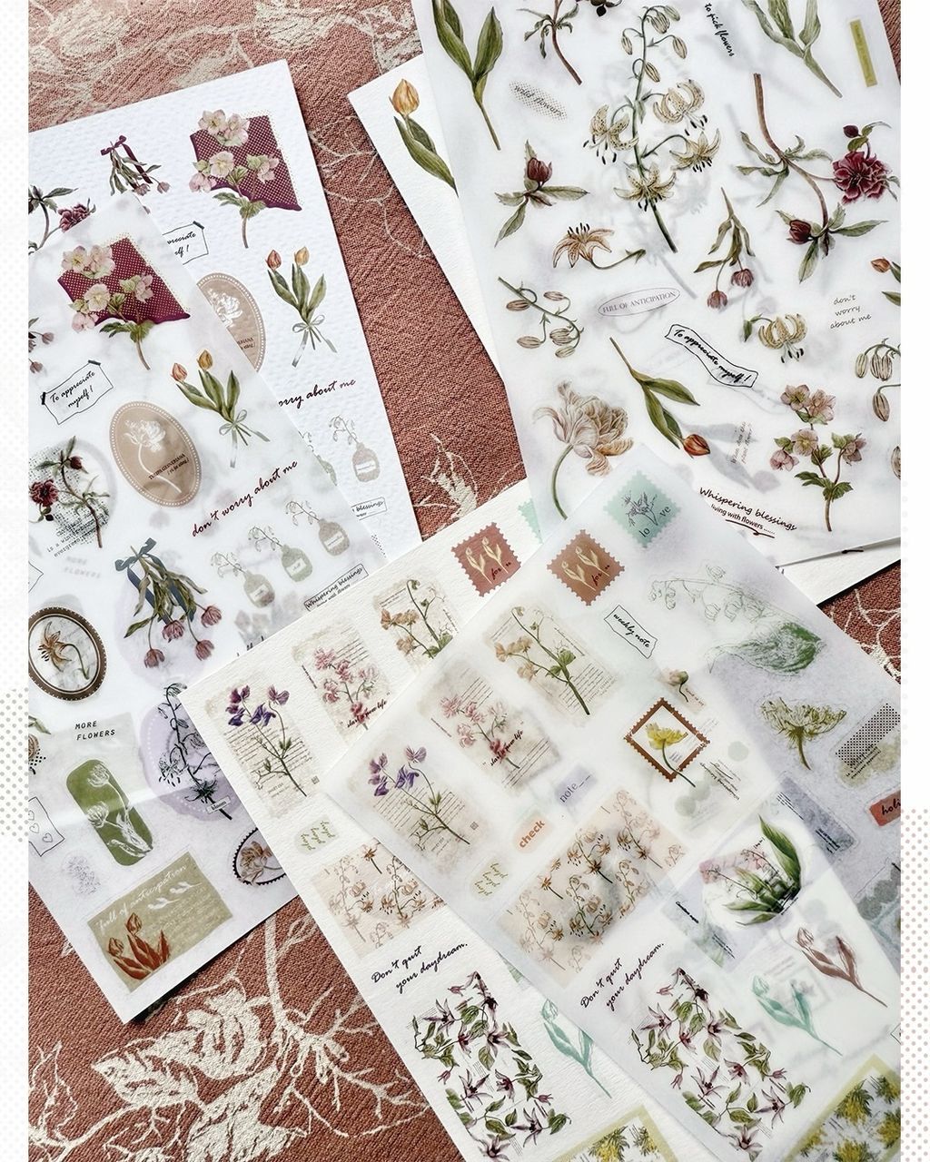 SaveClip.App_591695351_18106823443640780_7181421151695102604_n