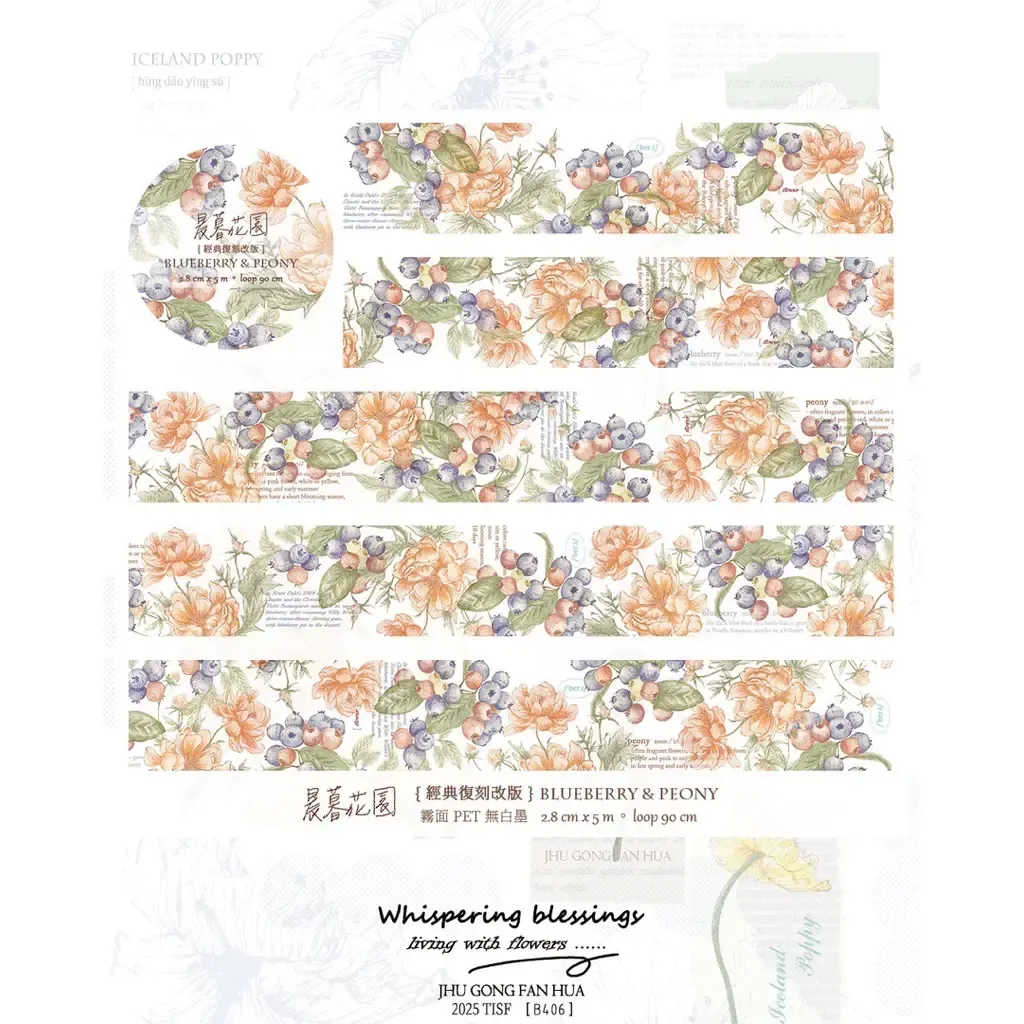 tw-11134207-81zto-mhcpgdlqaex531