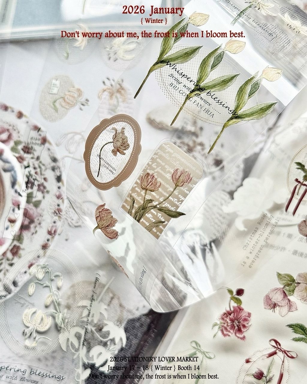 SaveClip.App_612554523_18109507291640780_4781184357065829826_n