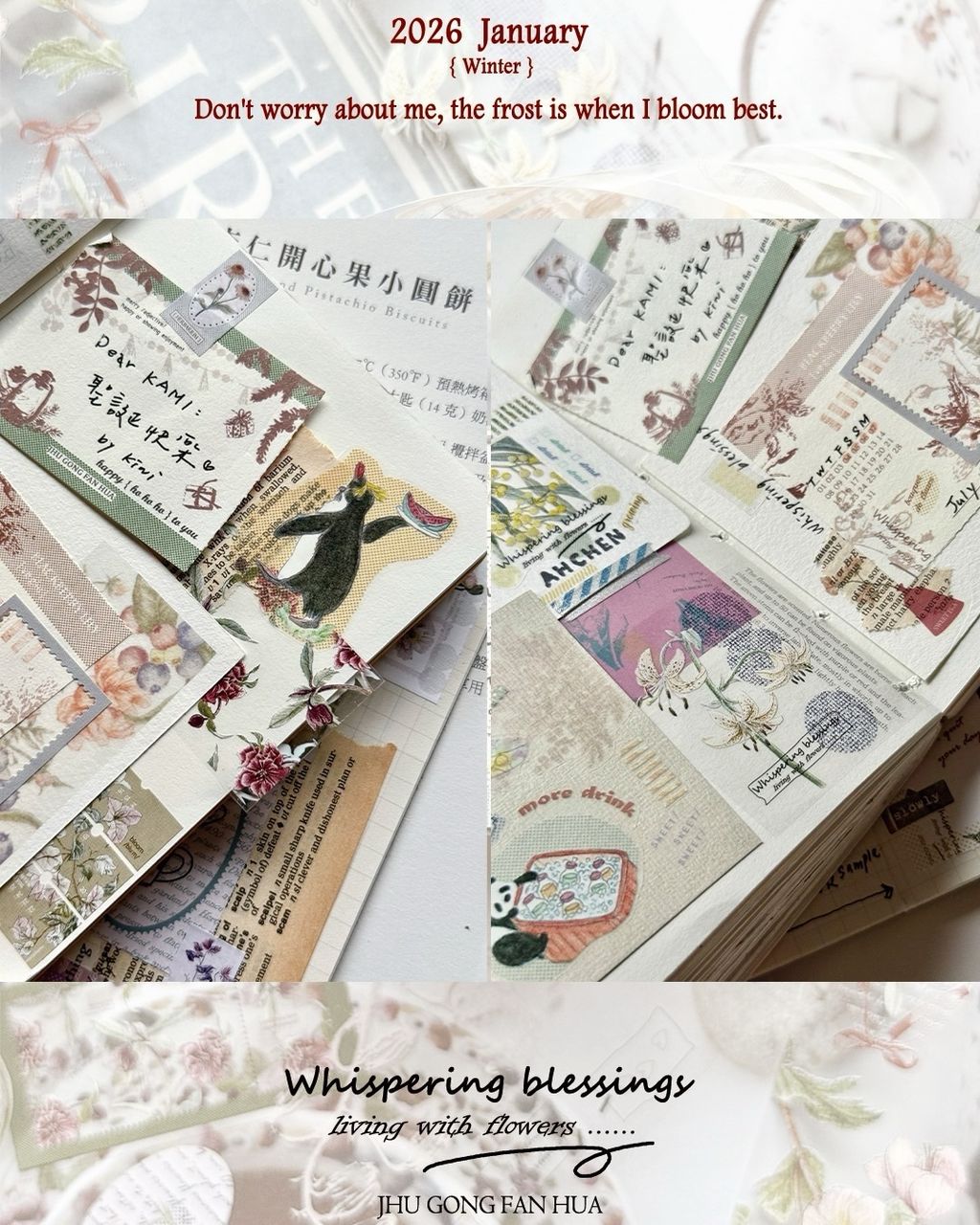 SaveClip.App_612763187_18109507351640780_2807975888202933907_n