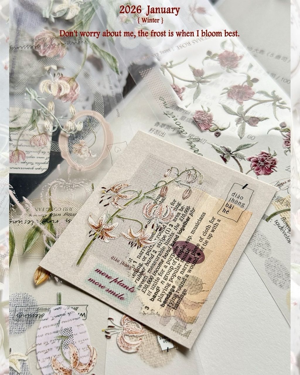 SaveClip.App_615530720_18109507330640780_585419678062381048_n