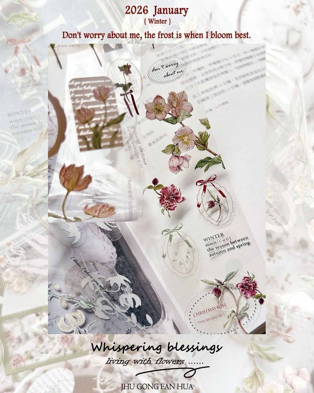 SaveClip.App_612128657_18109507321640780_5212574397953143792_n