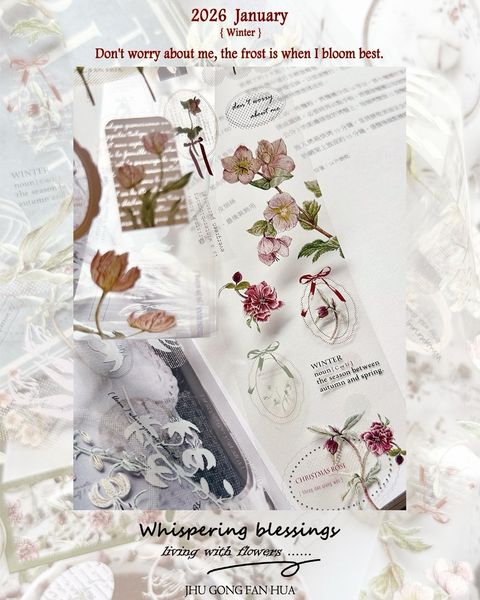 SaveClip.App_612128657_18109507321640780_5212574397953143792_n