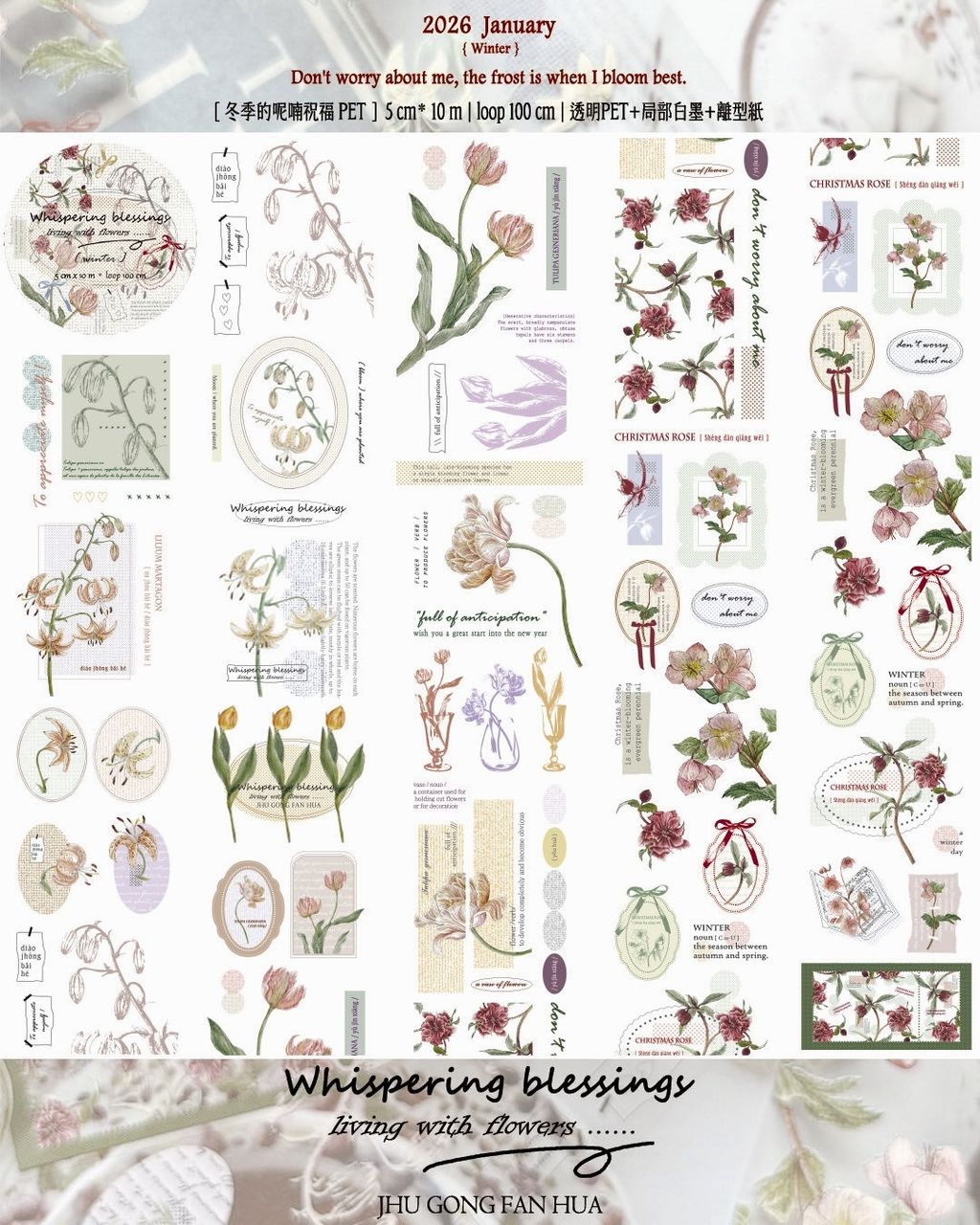 SaveClip.App_613746059_18109507342640780_1548325760417096804_n