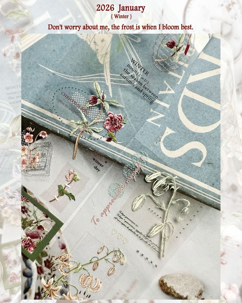 SaveClip.App_616309799_18109507309640780_7004223548501694078_n