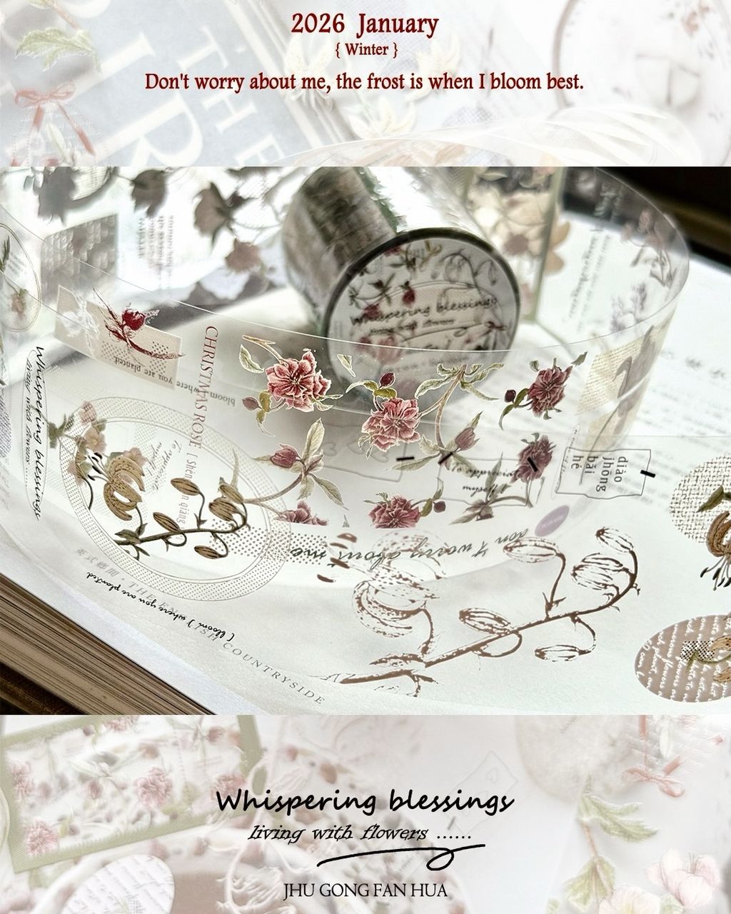 SaveClip.App_608665065_18108139153640780_4906417457551925594_n