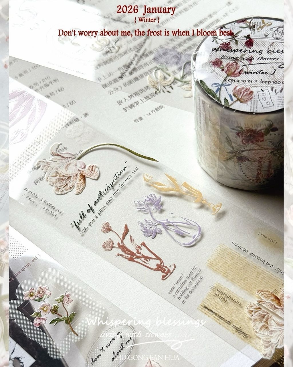 SaveClip.App_606950715_18108139126640780_1772081953734660265_n