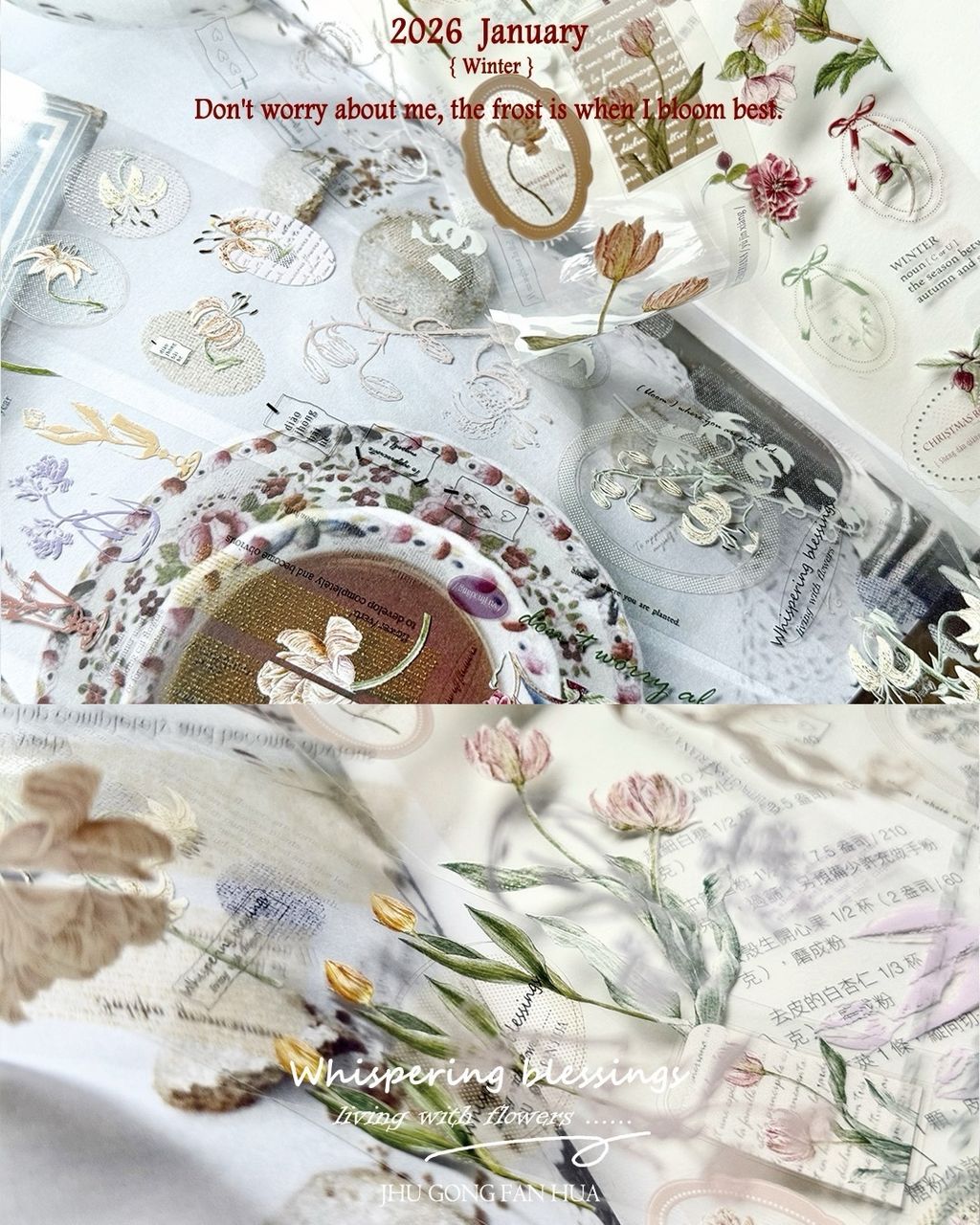 SaveClip.App_607514512_18108139171640780_6536674697477135601_n