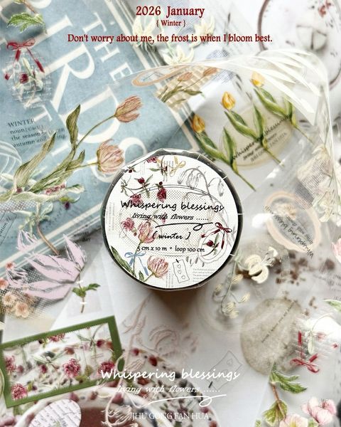 SaveClip.App_605855411_18108139162640780_4735264613882245812_n